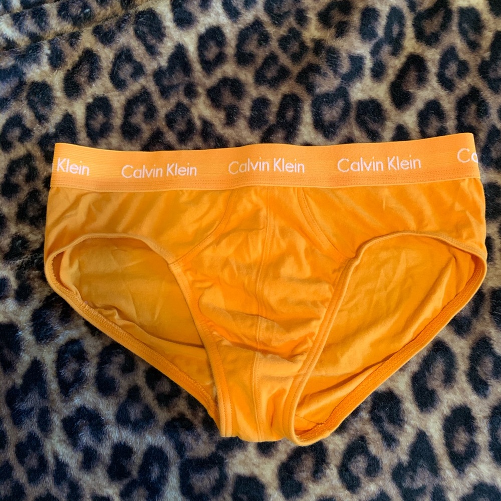 Calvin Klein briefs